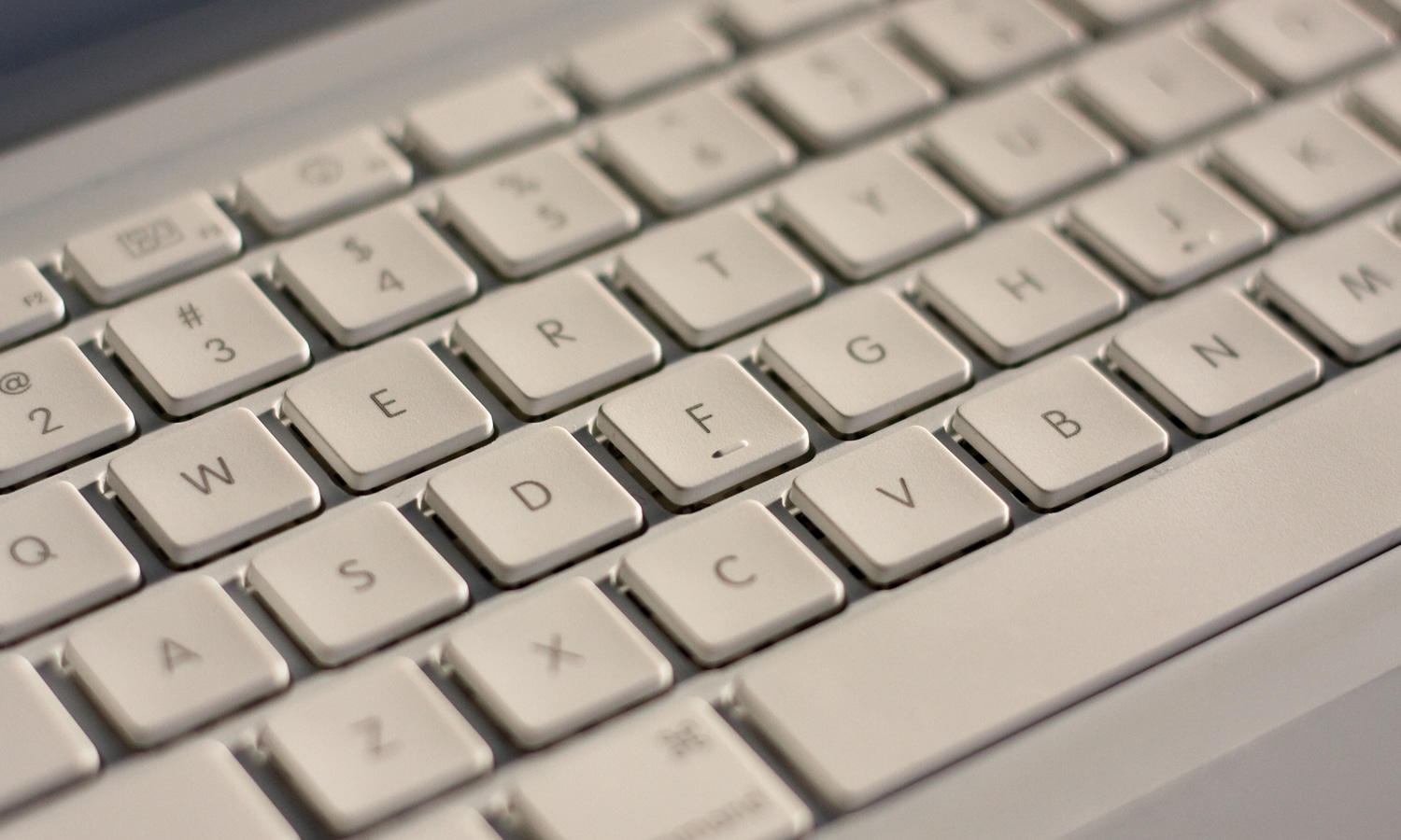 Hoe vind ik een goede WordPress professional?